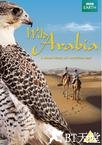 狂野阿拉伯 Wild Arabia.2013 字幕下载