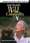 珍古德的野生黑猩猩 Jane Goodall's Wild Chimpanzees.2002 字幕下载