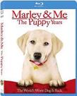 马利与我2 Marley & Me: The Puppy Years.2011 字幕下载