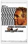 铁窗喋血 Cool Hand Luke.1967 字幕下载