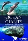 海洋巨物 BBC: Ocean Giants.2011 字幕下载