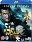 天罡星下凡 Born to Raise Hell.2010 字幕下载