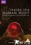 人体奥秘 Inside the Human Body.2011 字幕下载