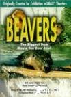 海狸 Beavers.1988 字幕下载