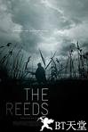 芦苇地 The Reeds.2009 字幕下载