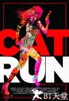 小猫快跑 Cat Run.2011 字幕下载
