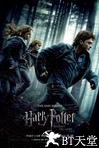 哈利·波特与死亡圣器(上) Harry Potter and the Deathly Hallows: Part 1.2010 字幕下载