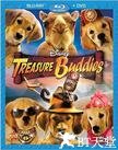 护宝巴迪 Treasure Buddies.2012 字幕下载