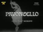Pavoncello Pavoncello.1967 字幕下载