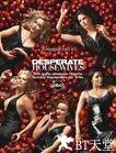 绝望主妇 第二季 Desperate Housewives.2005 字幕下载