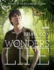 生命的奇迹 Wonders of Life.2013 字幕下载