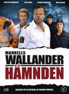 沃兰德探长系列：复仇 Wallander: Hämnden.2010 字幕下载
