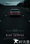 蓝色随想 Blue Caprice.2013 字幕下载