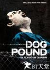 恶狗帮 Dog Pound.2010 字幕下载