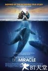 鲸奇 Big Miracle.2012 字幕下载