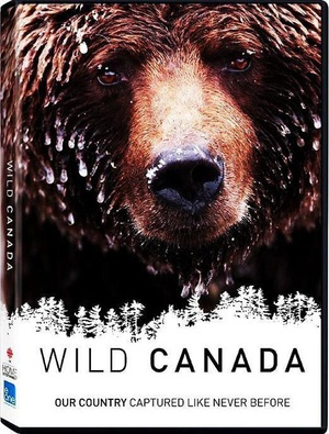 野性加拿大 Wild Canada.2014 字幕下载