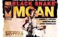 黑蛇呻吟 Black Snake Moan.2006 字幕下载