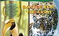 阳光争夺战 Equator Battle for the Light.2006 字幕下载